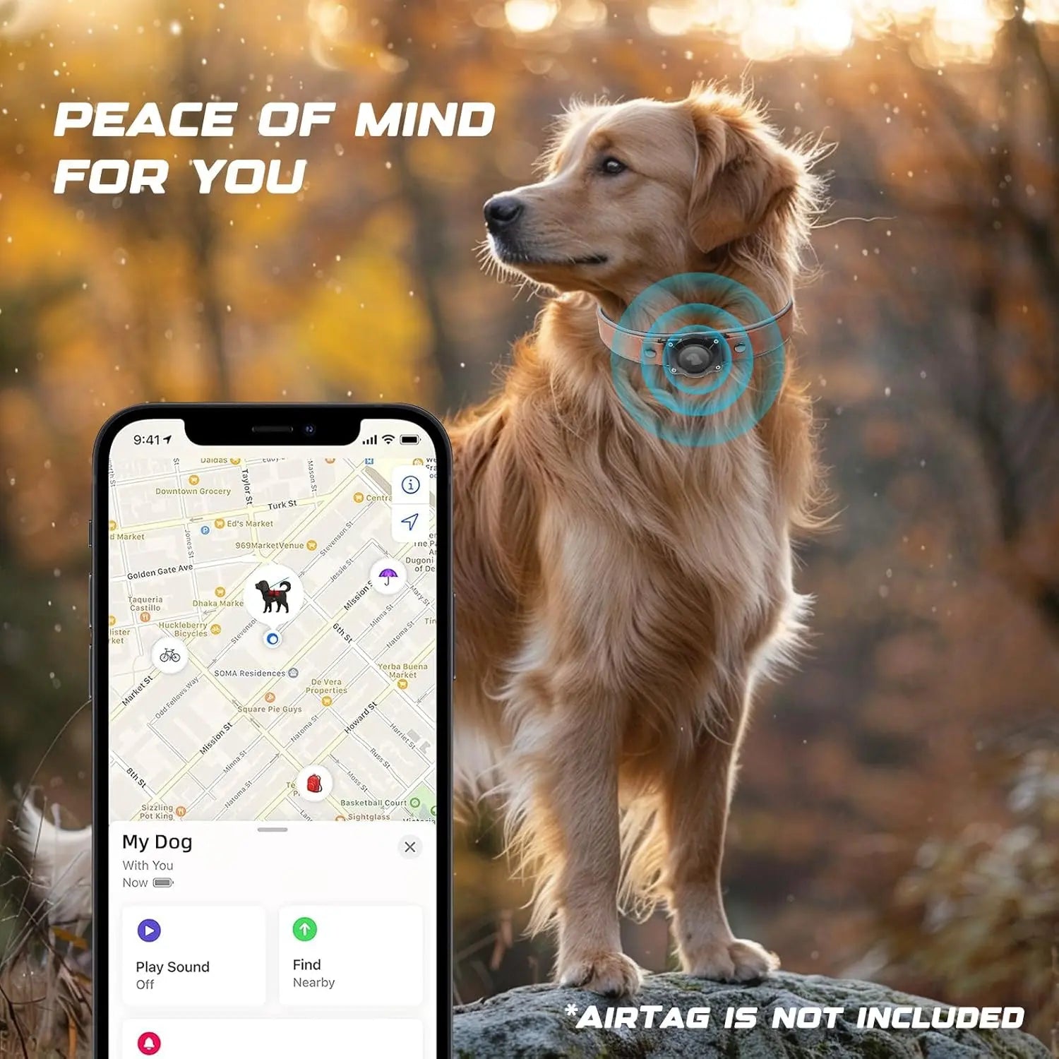 Leather AirTag Dog Collar, Water-Resistant, Reflective, Adjustable, Built-In AirTag Holder