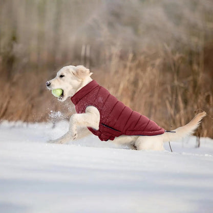 Lelepet Waterproof Reversible Dog Coat – Winter Puffer Vest, 2-in-1, XS-3X