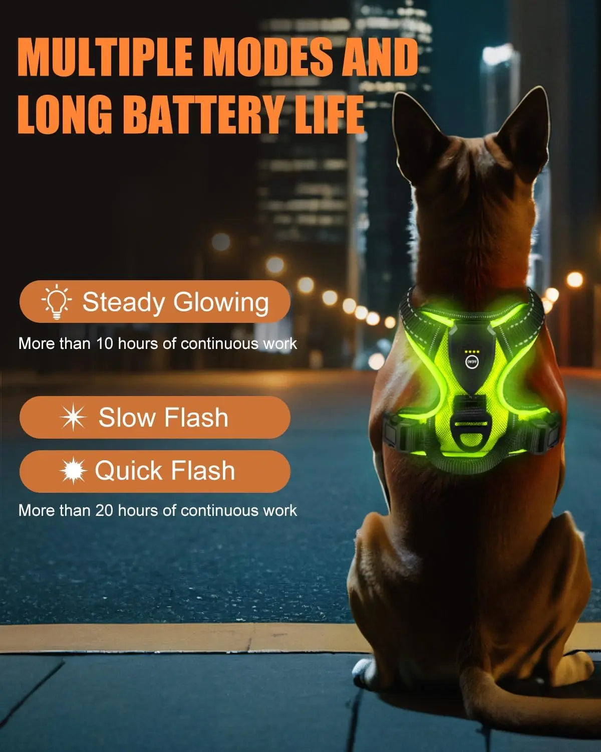 Light-Up LED Dog Harness – Rechargeable No-Pull Vest for Night Walking