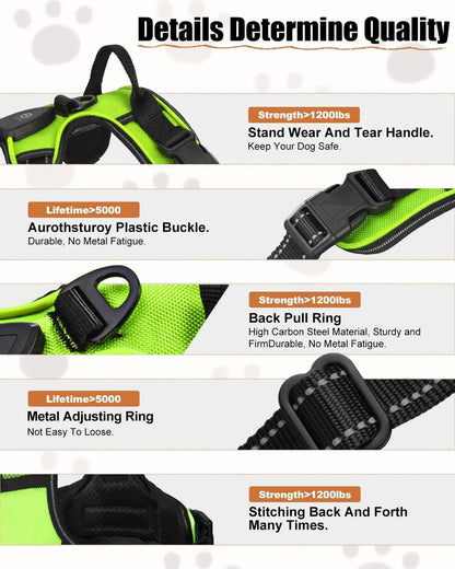 Light-Up LED Dog Harness – Rechargeable No-Pull Vest for Night Walking