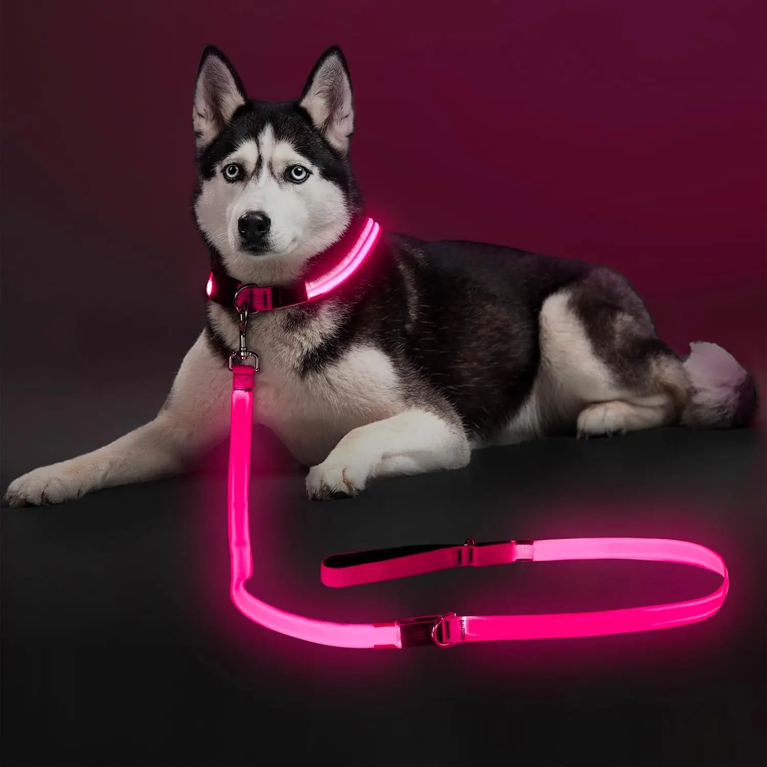 Light Up LED Dog Leash 6FT – USB Rechargeable Glow Leash for Night Safety Pink 6Ft