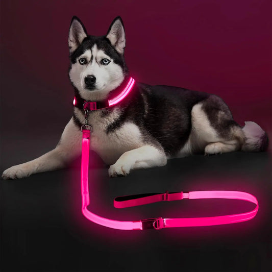 Light Up LED Dog Leash 6FT – USB Rechargeable Glow Leash for Night Safety Pink 6Ft