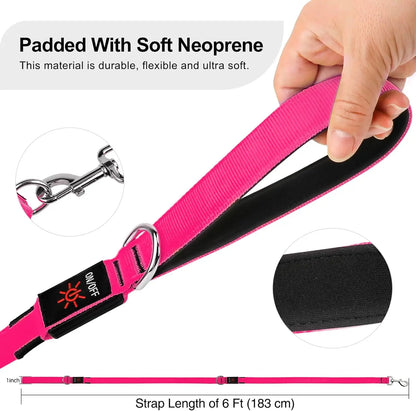 Light Up LED Dog Leash 6FT – USB Rechargeable Glow Leash for Night Safety