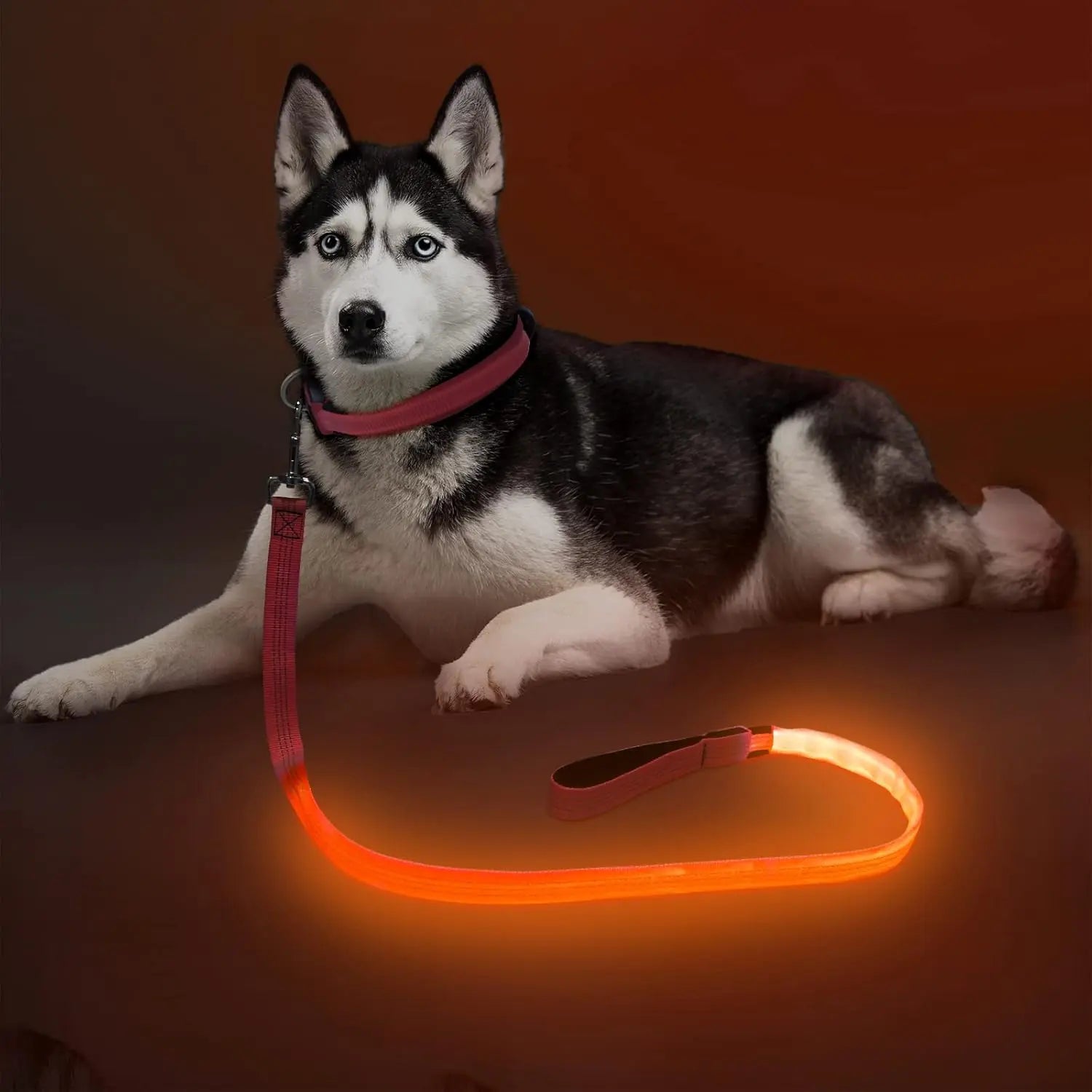 Light Up LED Dog Leash 6FT – USB Rechargeable Glow Leash for Night Safety Orange 4Ft