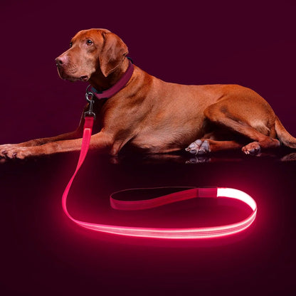 Light Up LED Dog Leash 6FT – USB Rechargeable Glow Leash for Night Safety Pink 4Ft