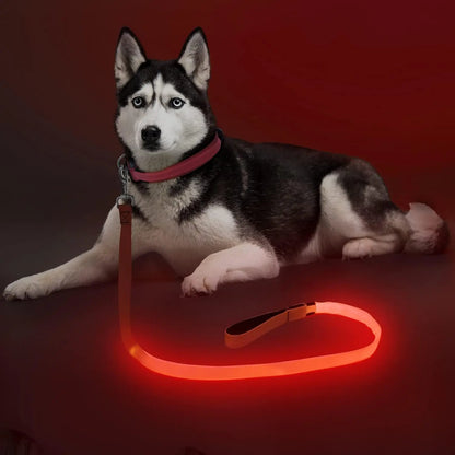 Light Up LED Dog Leash 6FT – USB Rechargeable Glow Leash for Night Safety Red 4Ft