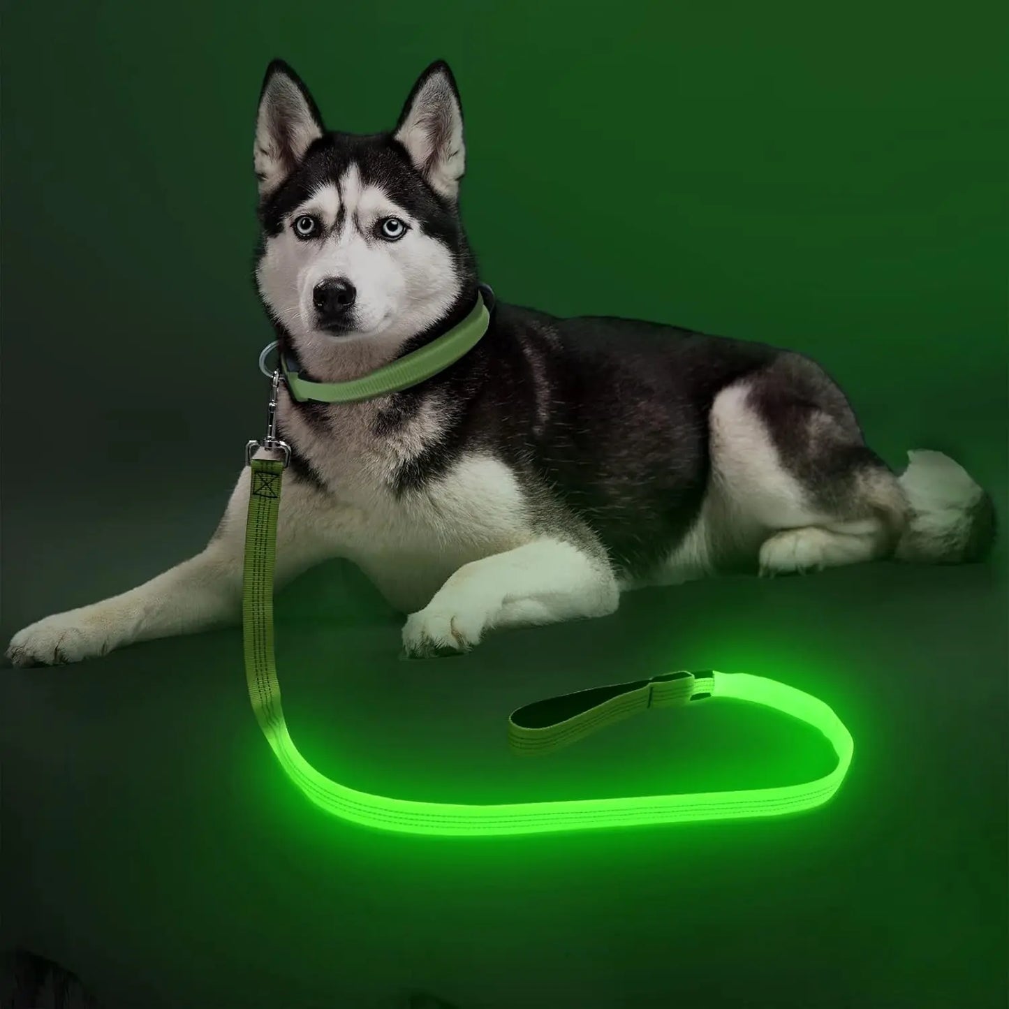 Light Up LED Dog Leash 6FT – USB Rechargeable Glow Leash for Night Safety