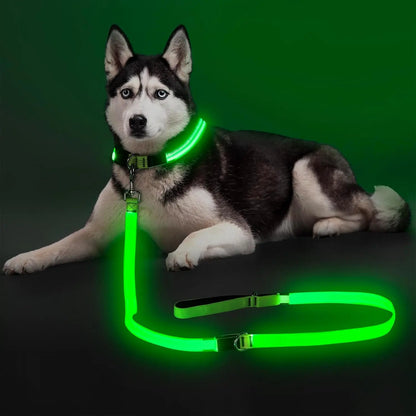 Light Up LED Dog Leash 6FT – USB Rechargeable Glow Leash for Night Safety Green 6Ft