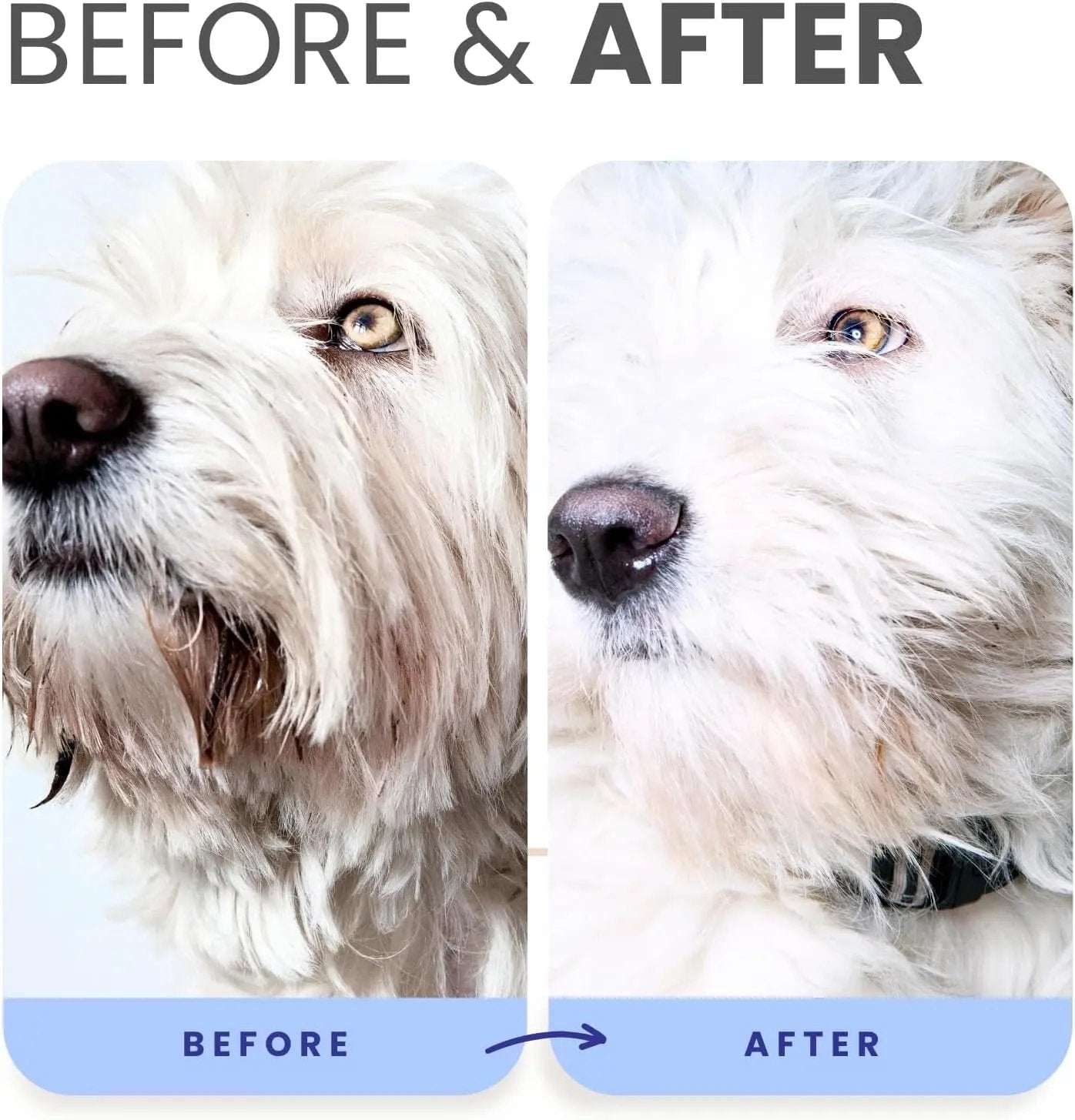 Lillian Ruff Professional Berry Blue Brightening Dog Shampoo & Conditioner Set