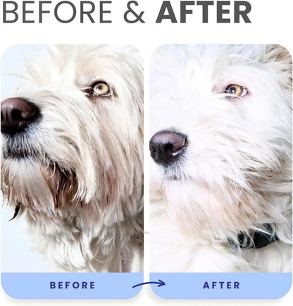 Lillian Ruff Professional Berry Blue Brightening Dog Shampoo & Conditioner Set