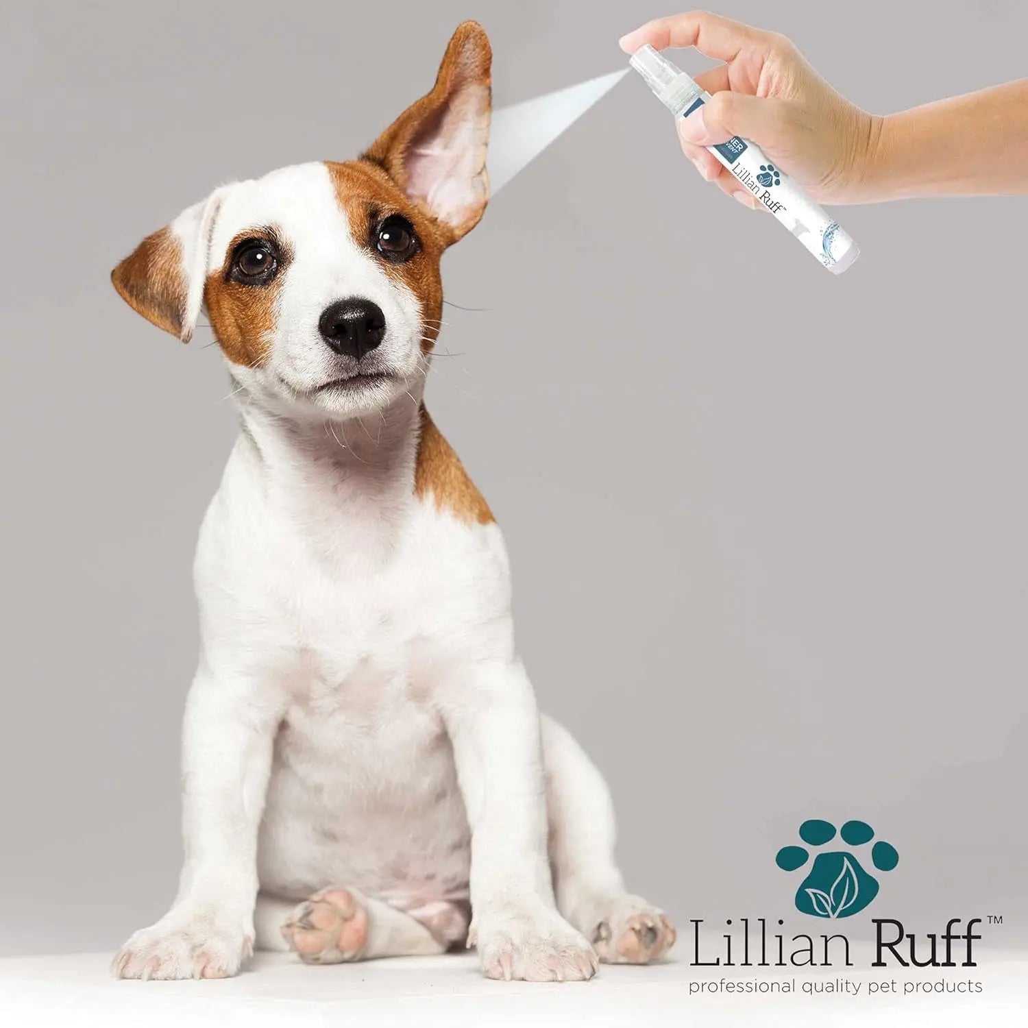 Lillian Ruff TSA Dog Travel Grooming Kit Waterless Shampoo Breath Ear Care Set