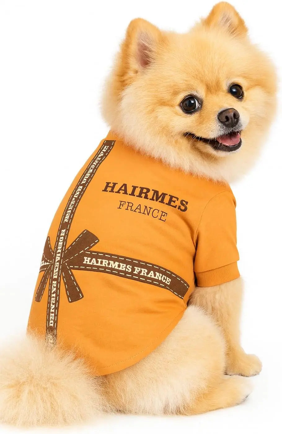 Luxury Designer Dog T-Shirt for Small Dogs | Chic Pet Apparel Hairmes