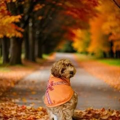 Luxury Designer Dog T-Shirt for Small Dogs | Chic Pet Apparel