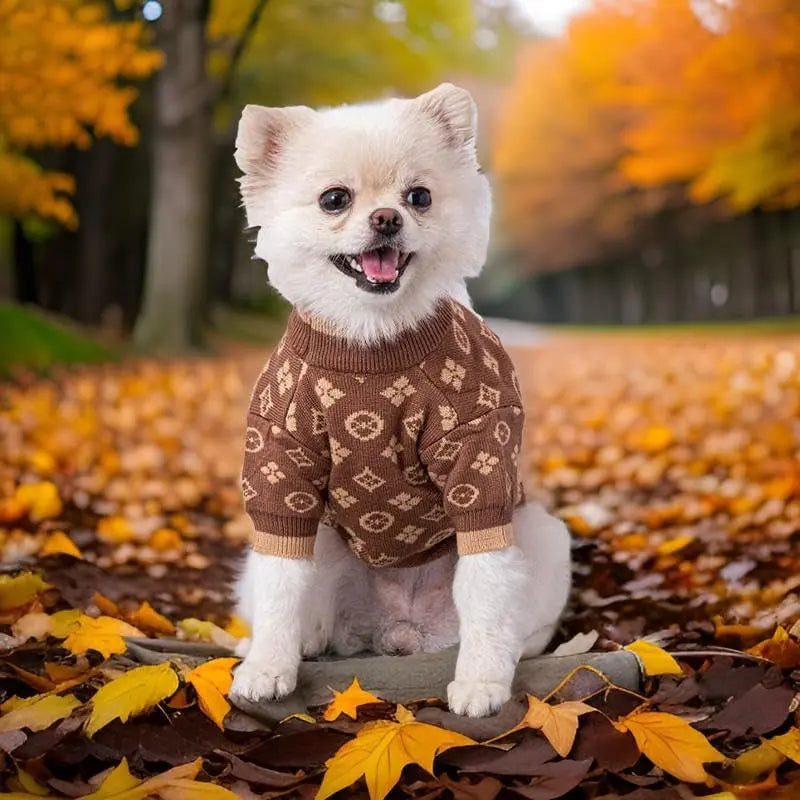 Luxury Knit Dog Sweater for Small Dogs | Warm Designer Pet Outfit (XS–5X)