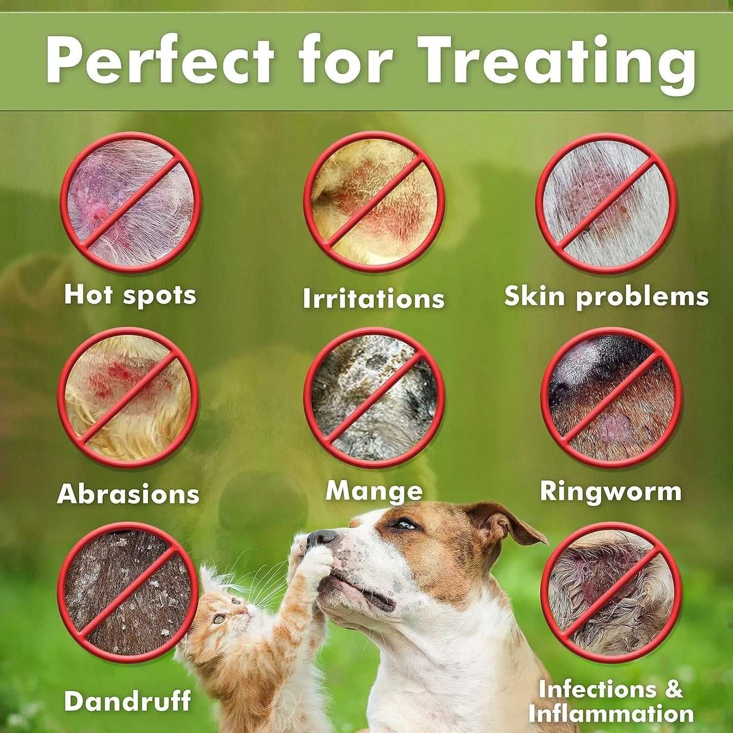 Medicated Dog Shampoo Anti Itch & Yeast Hot Spot Skin Relief 13.5oz