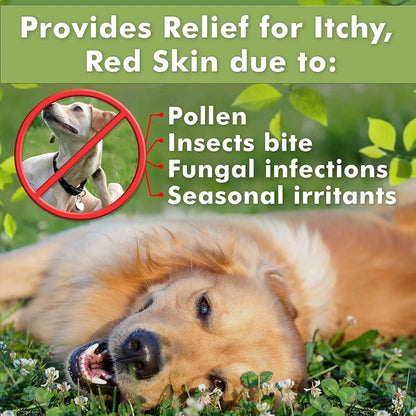 Medicated Dog Shampoo Anti Itch & Yeast Hot Spot Skin Relief 13.5oz