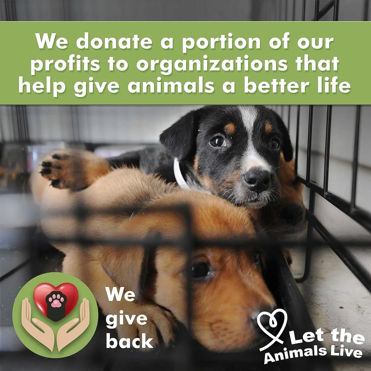 Medicated Dog Shampoo Anti Itch & Yeast Hot Spot Skin Relief 13.5oz