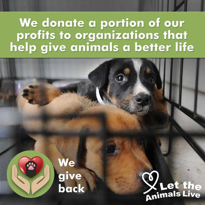 Medicated Dog Shampoo Anti Itch & Yeast Hot Spot Skin Relief 13.5oz