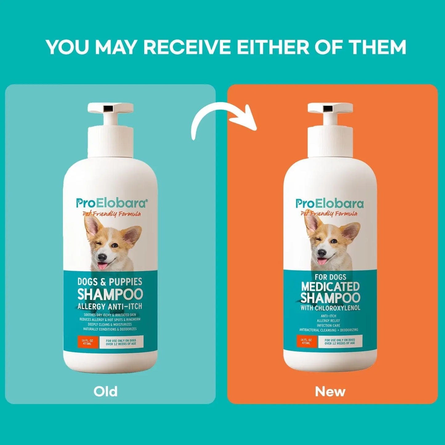 Medicated Dog Shampoo for Itchy Skin, Yeast & Hot Spot Relief – 16 oz