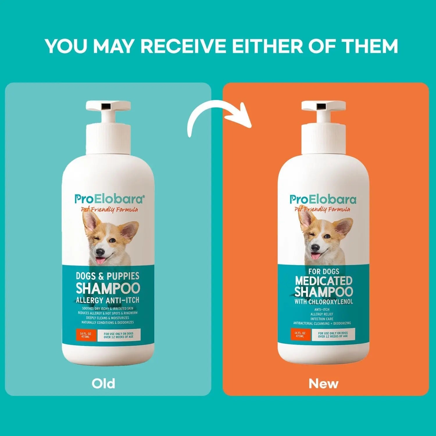 Medicated Dog Shampoo for Itchy Skin, Yeast & Hot Spot Relief – 16 oz