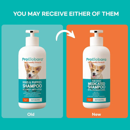 Medicated Dog Shampoo for Itchy Skin, Yeast & Hot Spot Relief – 16 oz