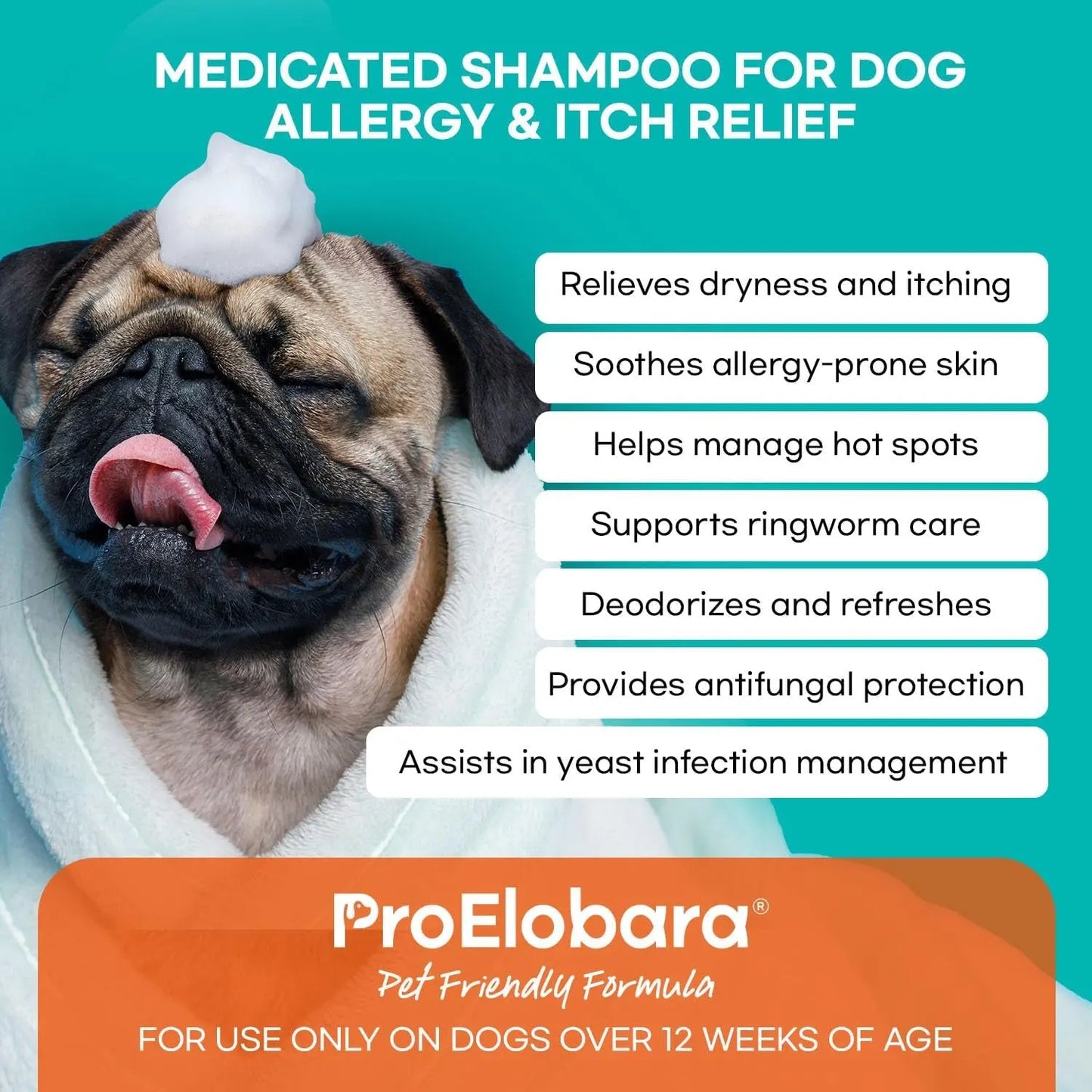 Medicated Dog Shampoo for Itchy Skin, Yeast & Hot Spot Relief – 16 oz