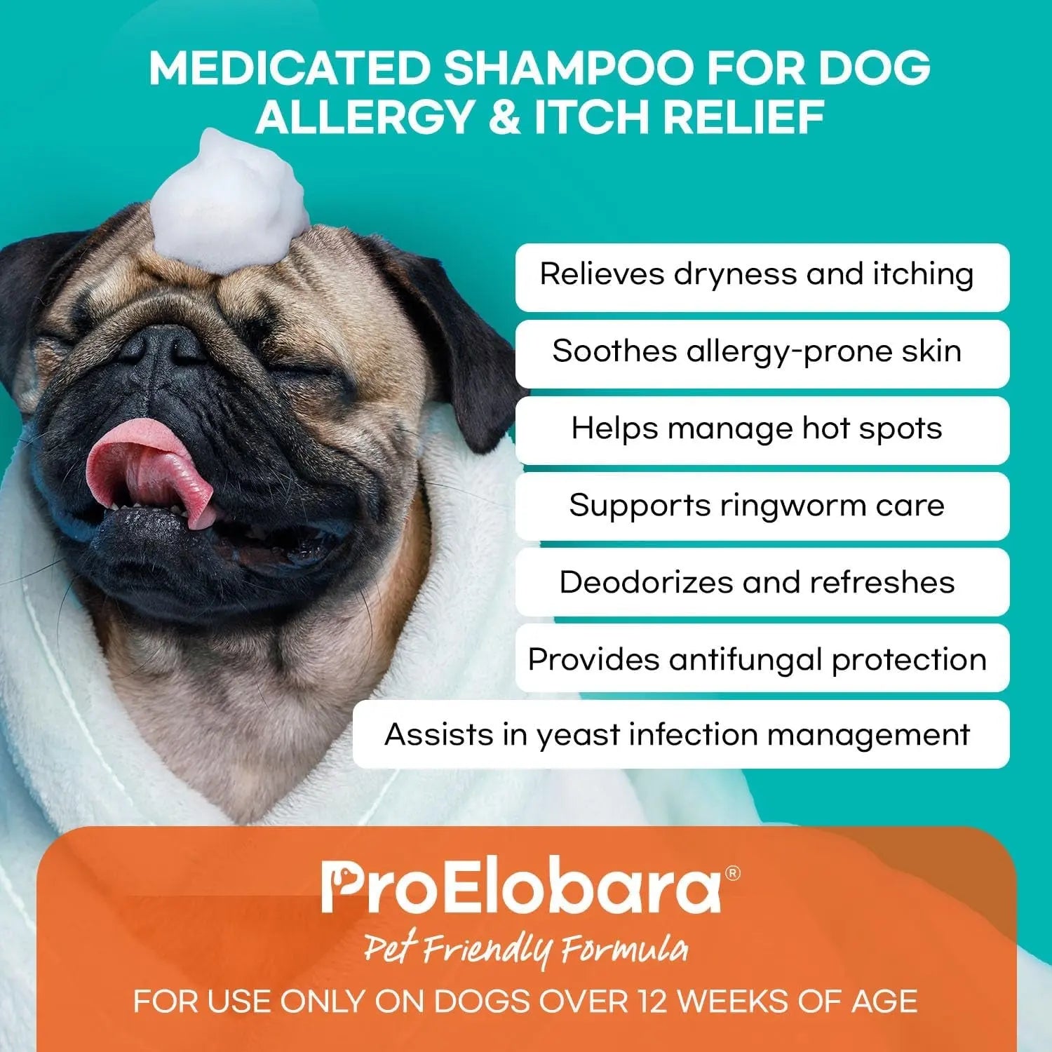 Medicated Dog Shampoo for Itchy Skin, Yeast & Hot Spot Relief – 16 oz