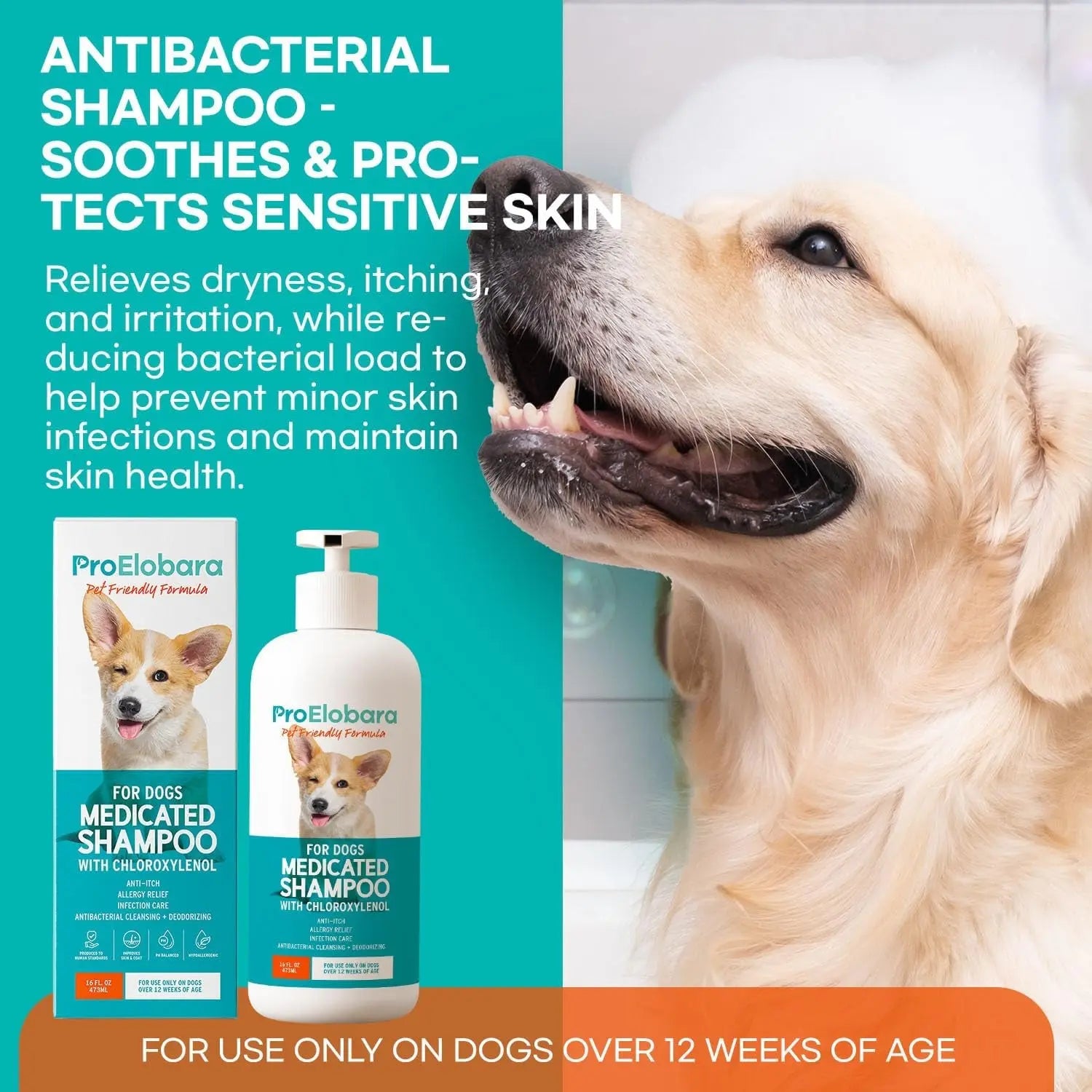 Medicated Dog Shampoo for Itchy Skin, Yeast & Hot Spot Relief – 16 oz