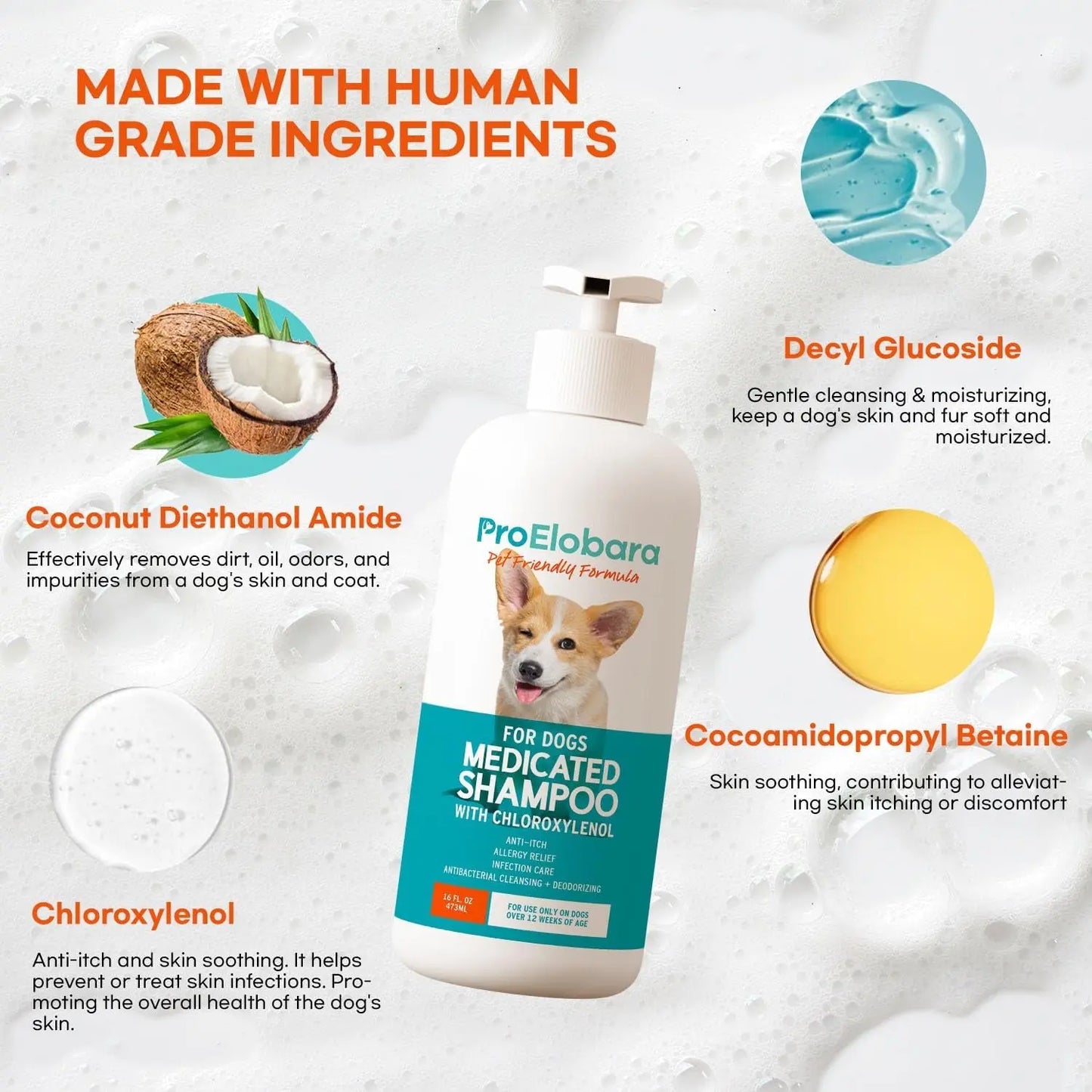 Medicated Dog Shampoo for Itchy Skin, Yeast & Hot Spot Relief – 16 oz