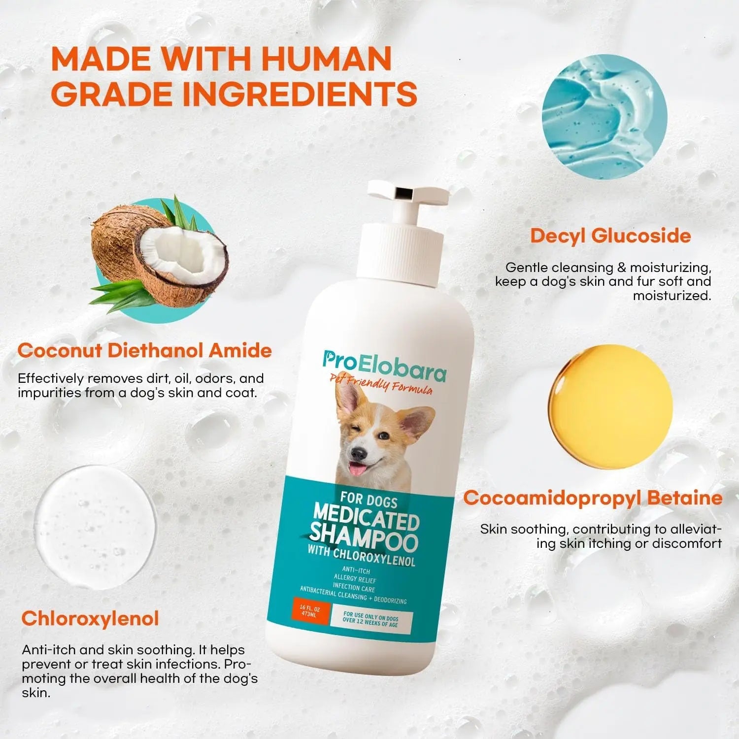 Medicated Dog Shampoo for Itchy Skin, Yeast & Hot Spot Relief – 16 oz