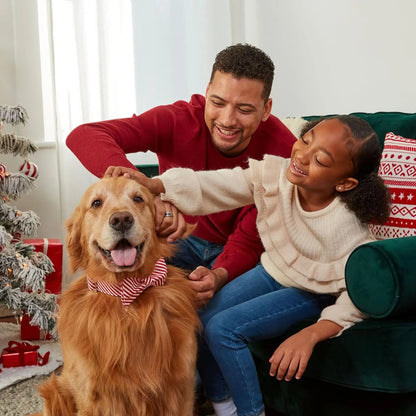 Milk-Bone Limited Edition Gingerbread Flavored Biscuit Dog Treats, 24 Ounce Reusable Pail