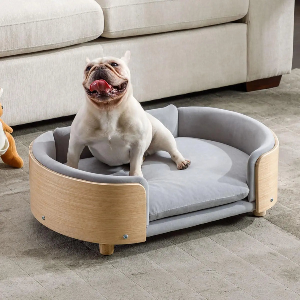 Modern Elevated Pet Sofa Bed with Wood Legs, Velvet Cushion, Washable Cover Light Gray - Wood Medium