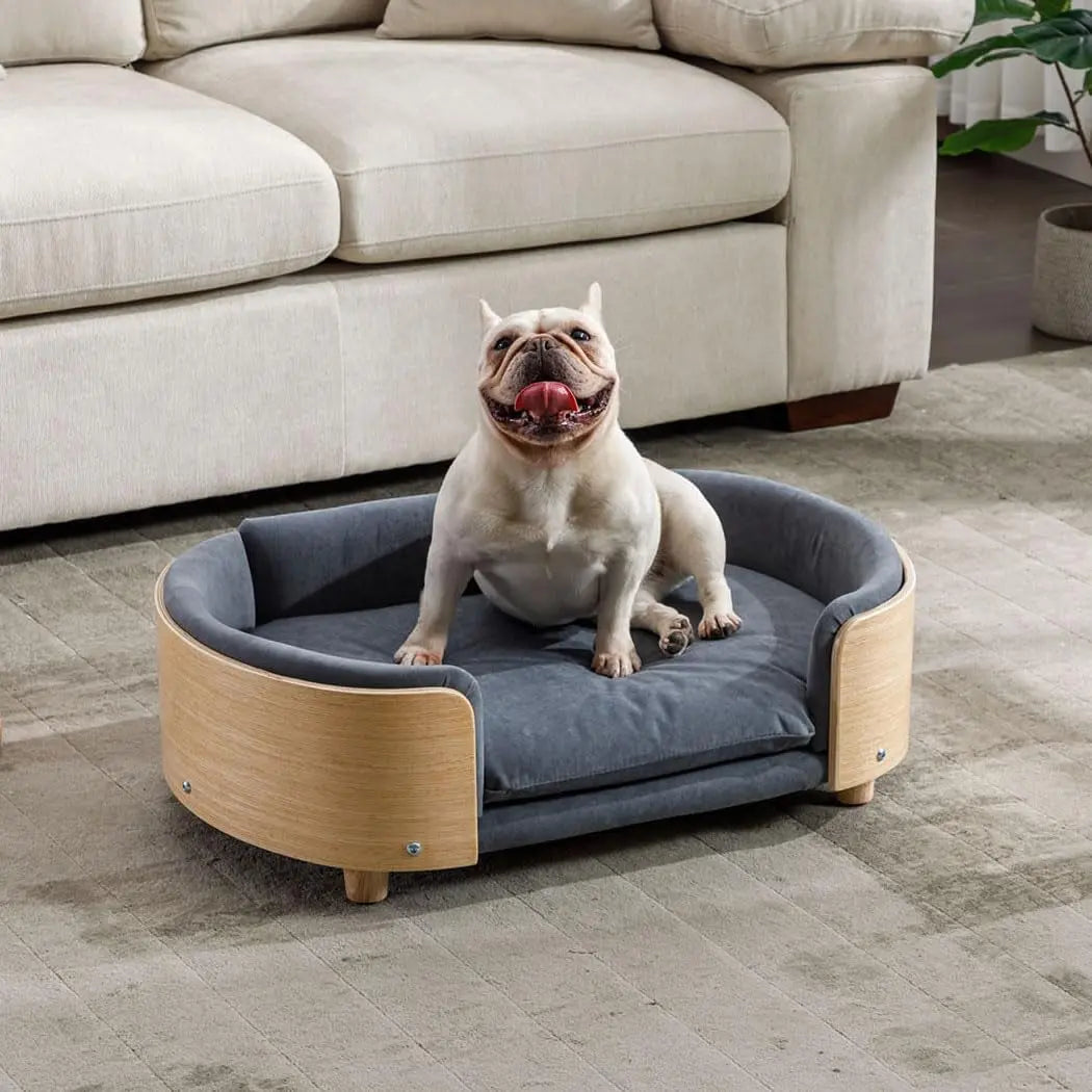 Modern Elevated Pet Sofa Bed with Wood Legs, Velvet Cushion, Washable Cover Dark Grey - Wood Medium