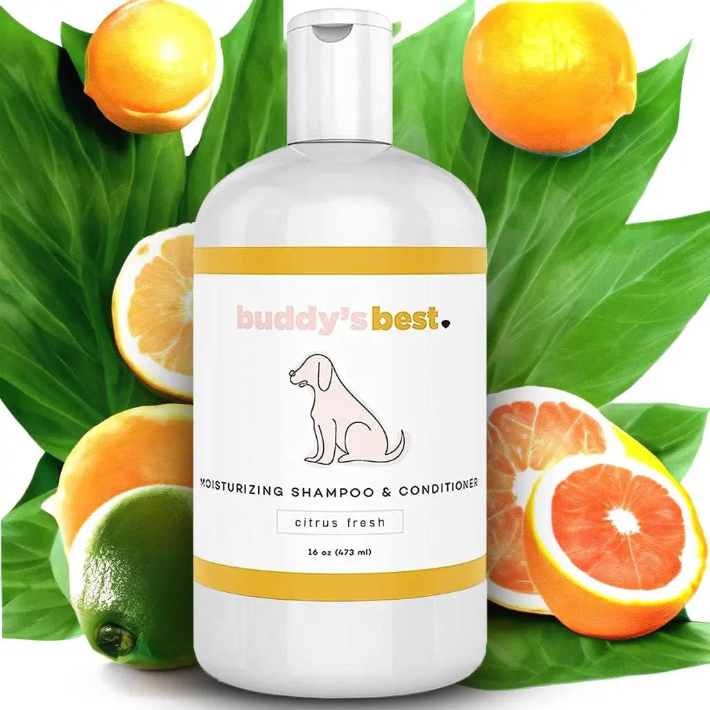 Moisturizing Dog Shampoo & Conditioner 16oz – Smelly Dogs, Dry Itchy Sensitive Skin Relief Citrus Fresh 16 Fl Oz (Pack Of 1)