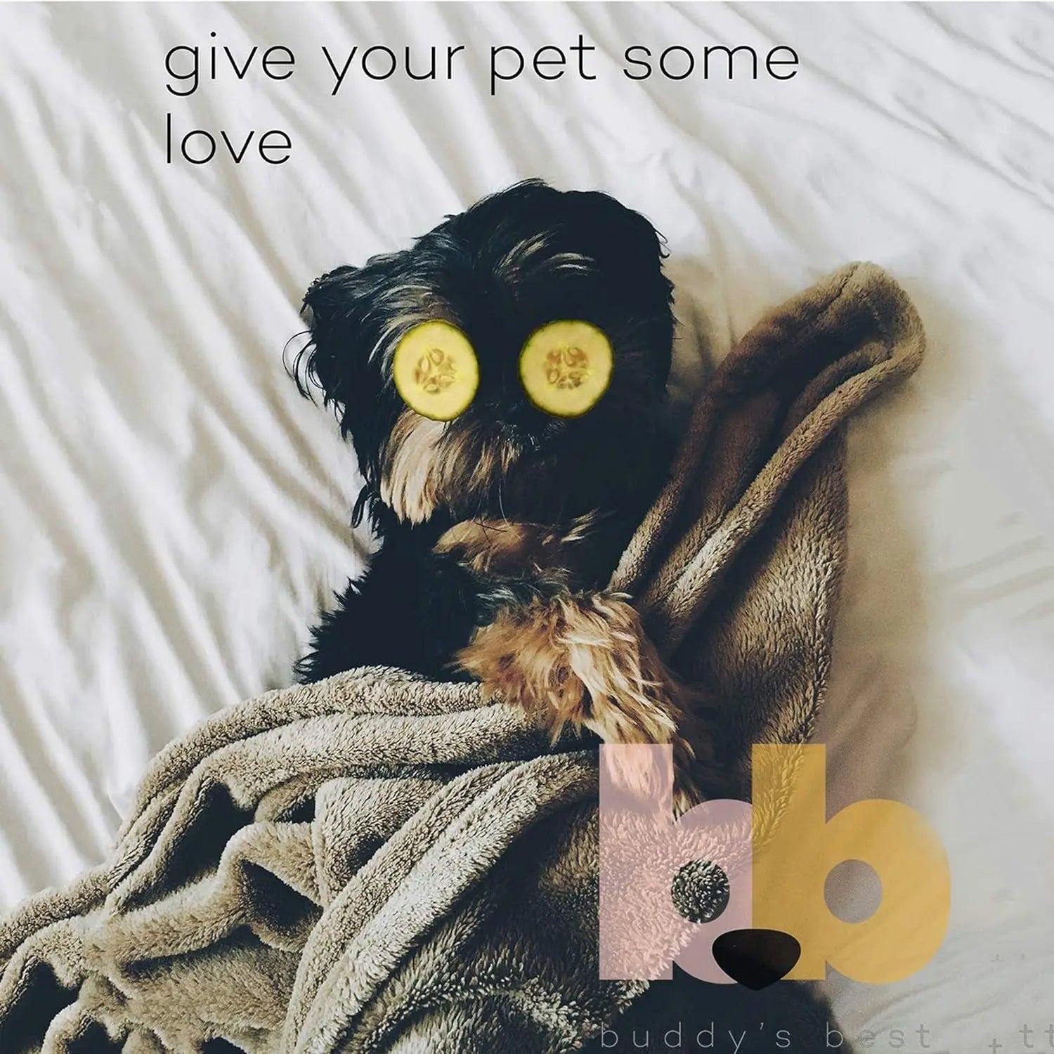 Moisturizing Dog Shampoo & Conditioner 16oz – Smelly Dogs, Dry Itchy Sensitive Skin Relief