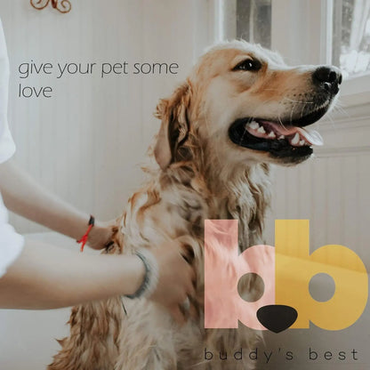 Moisturizing Dog Shampoo & Conditioner 16oz – Smelly Dogs, Dry Itchy Sensitive Skin Relief