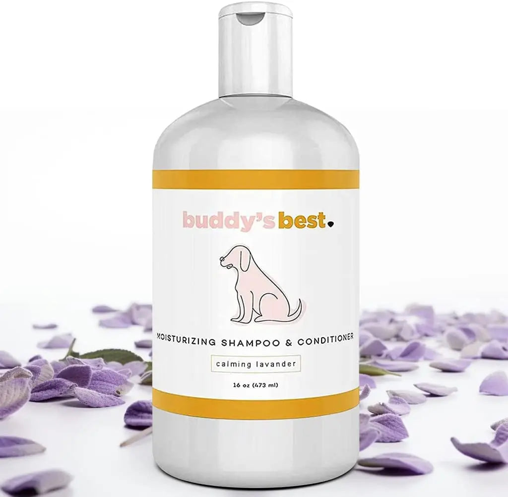 Moisturizing Dog Shampoo & Conditioner 16oz – Smelly Dogs, Dry Itchy Sensitive Skin Relief Calming Lavender 16 Fl Oz (Pack Of 1)