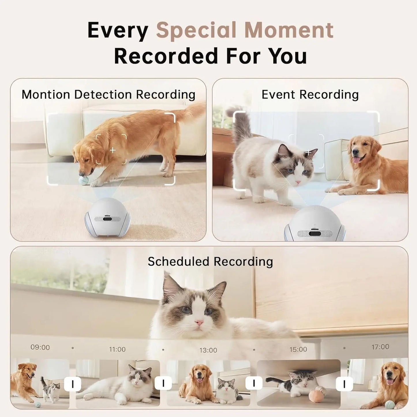 Movable Pet Camera Robot 1080P Two Way Audio Night Vision Auto Recharge