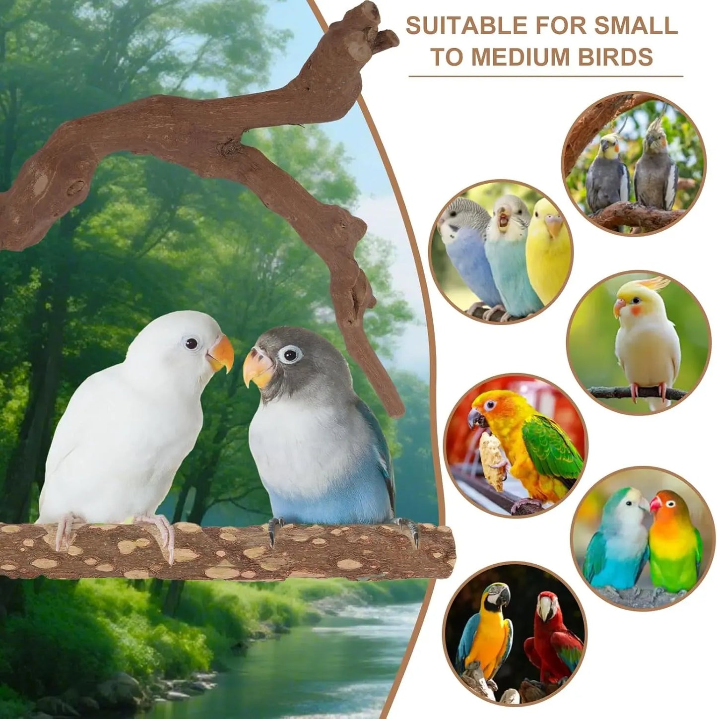 Natural Bird Perch Set – 6PC Grapewood & Peppercorn Branch Perches, Toys