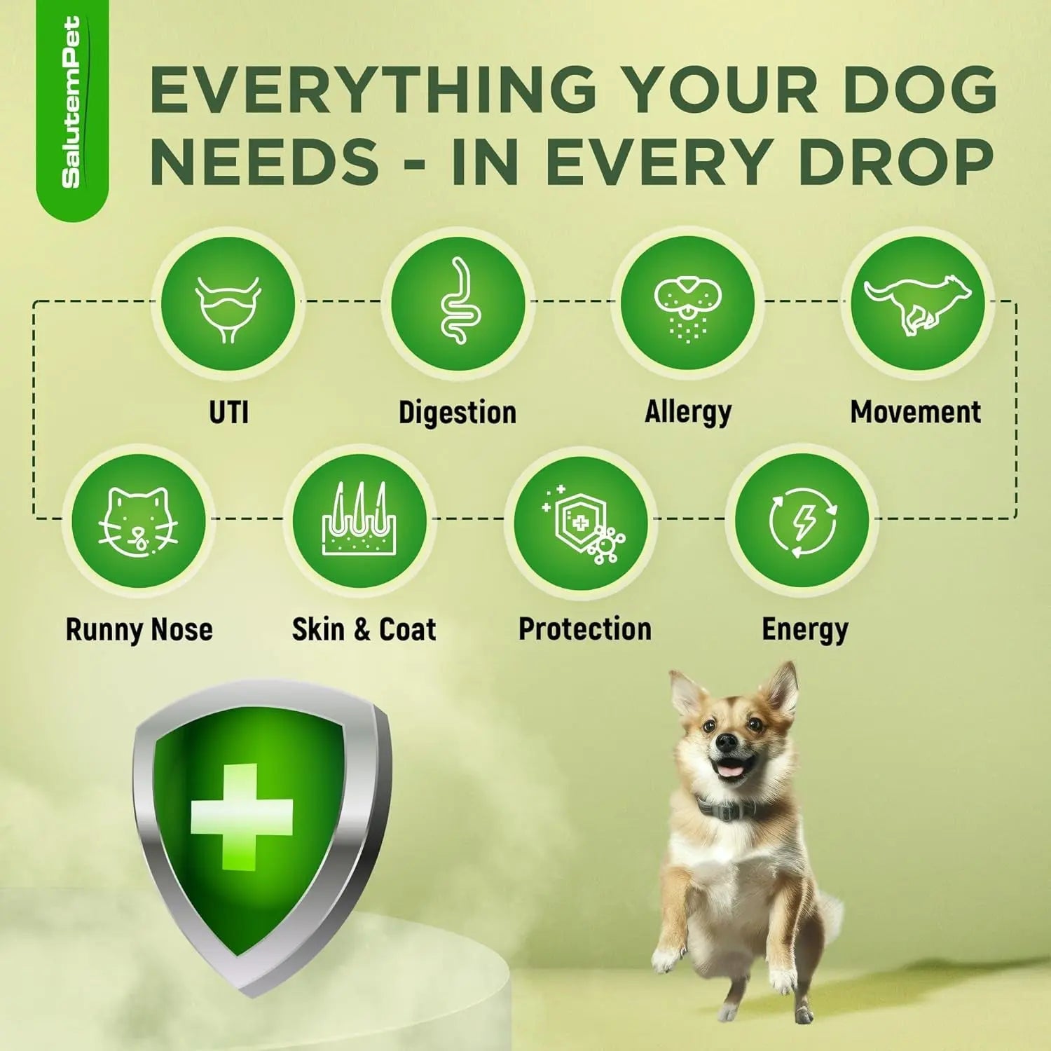 Natural Herbal Wellness Antibiotics Drops for Dogs Immune Support 2oz