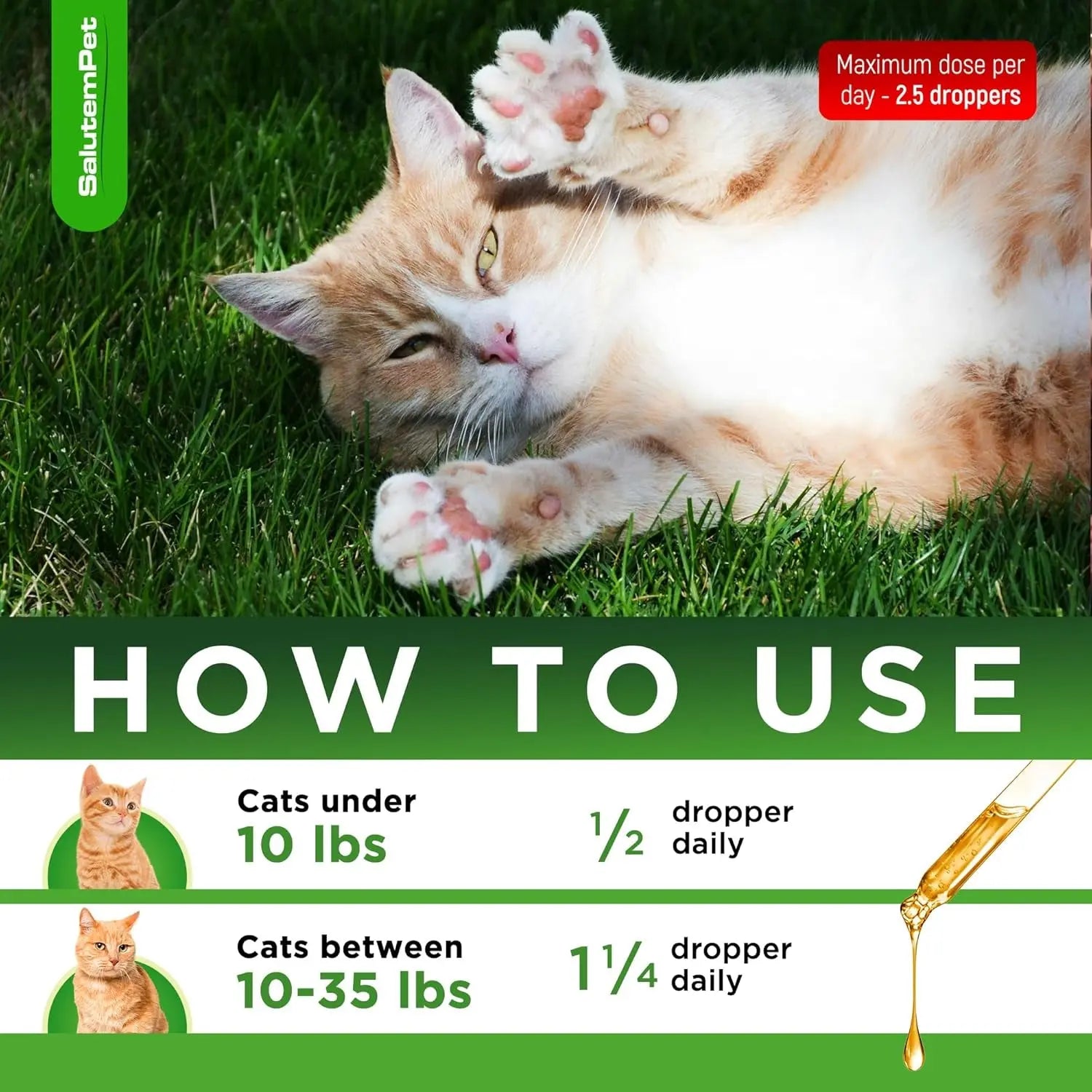 Natural Immune Support Drops for Cats, Chicken Flavor Liquid Supplement 2oz