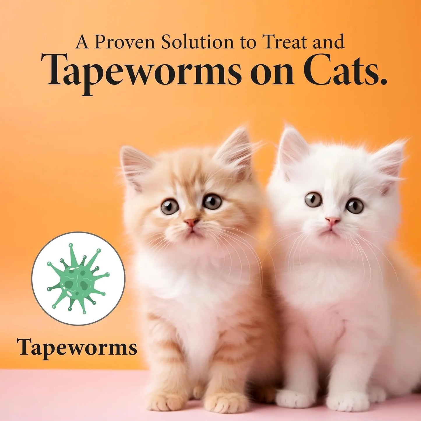 No More Tapeworms Dewormer for Cats & Kittens – 3 mL Dropper Treatment