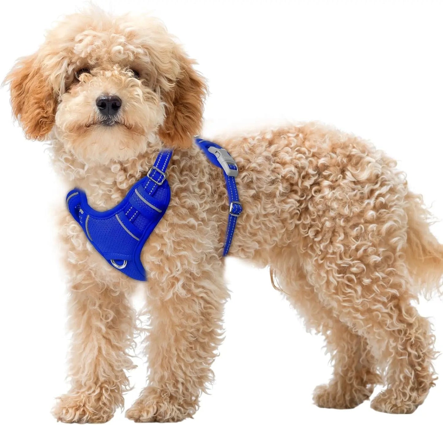 Reflective No-Pull Dog Harness, Adjustable Comfort for Training & Walking Sapphire Blue X-Small