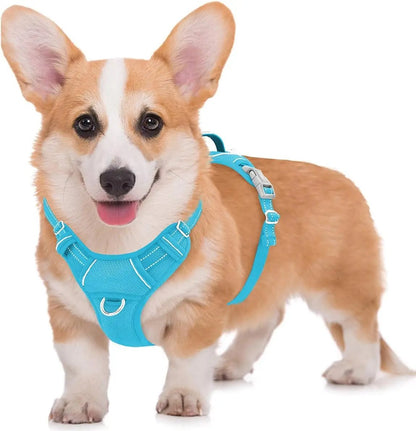 Reflective No-Pull Dog Harness, Adjustable Comfort for Training & Walking Blue Medium