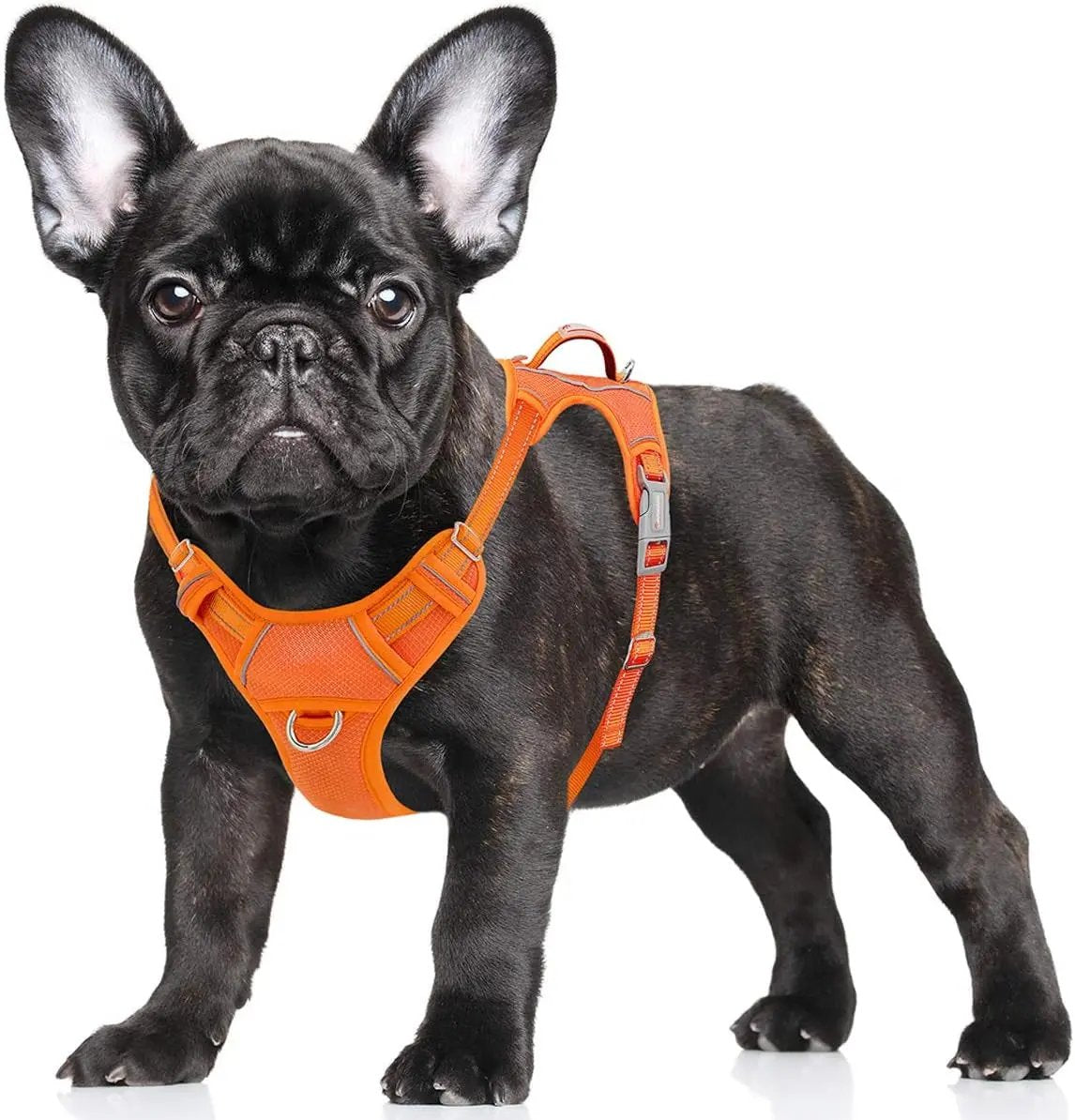 Reflective No-Pull Dog Harness, Adjustable Comfort for Training & Walking Orange Small