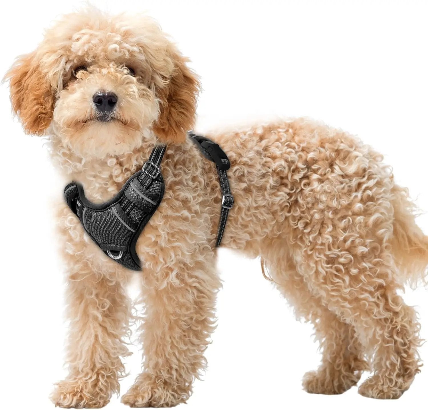 Reflective No-Pull Dog Harness, Adjustable Comfort for Training & Walking Black X-Small