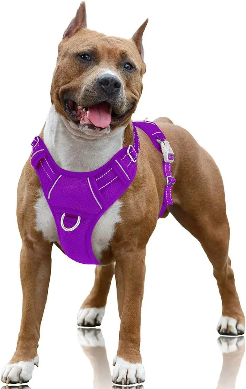 Reflective No-Pull Dog Harness, Adjustable Comfort for Training & Walking Purple Large