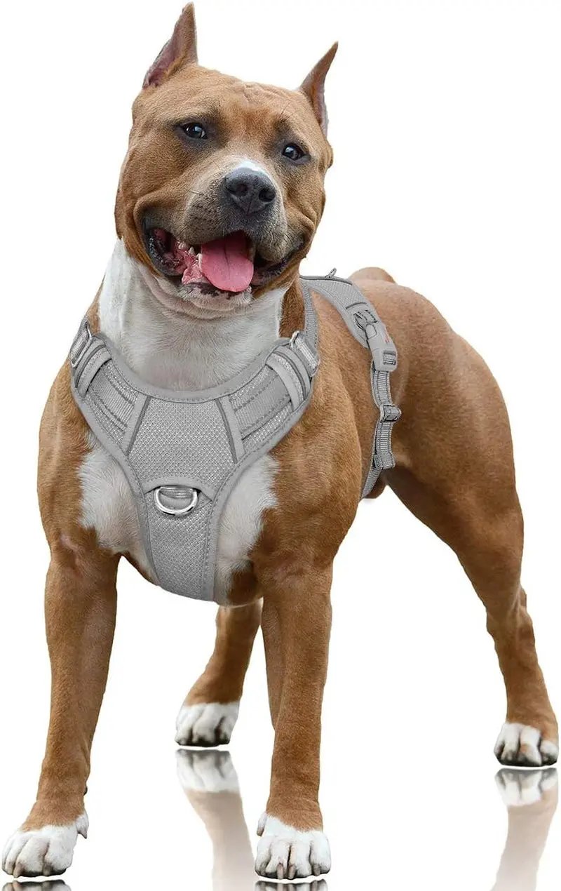 Reflective No-Pull Dog Harness, Adjustable Comfort for Training & Walking Grey Large