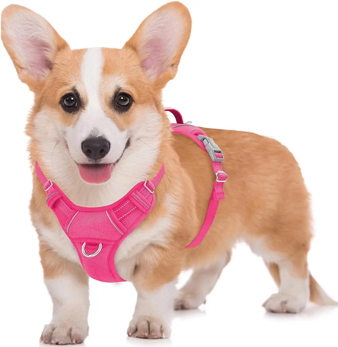 Reflective No-Pull Dog Harness, Adjustable Comfort for Training & Walking Pink Medium