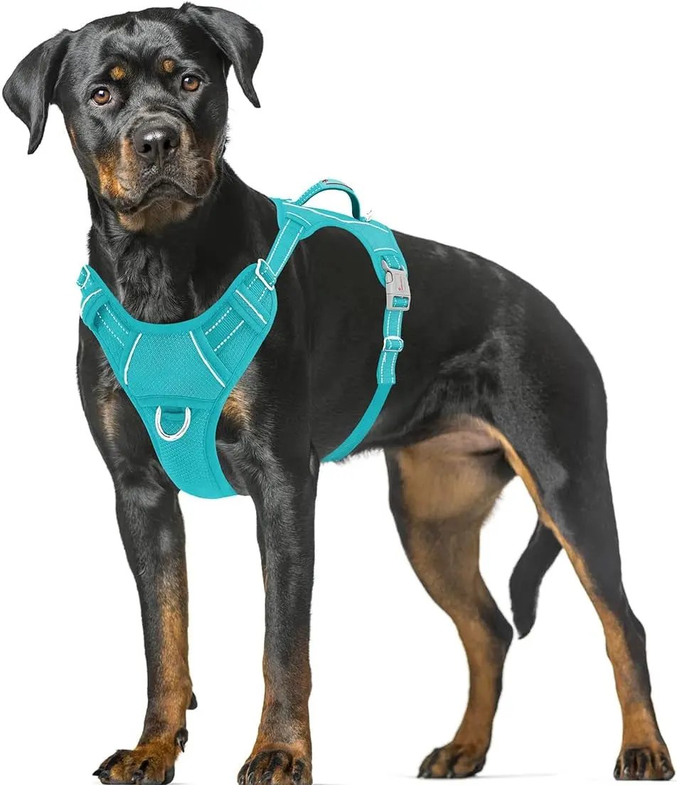 Reflective No-Pull Dog Harness, Adjustable Comfort for Training & Walking Ocean Blue X-Large
